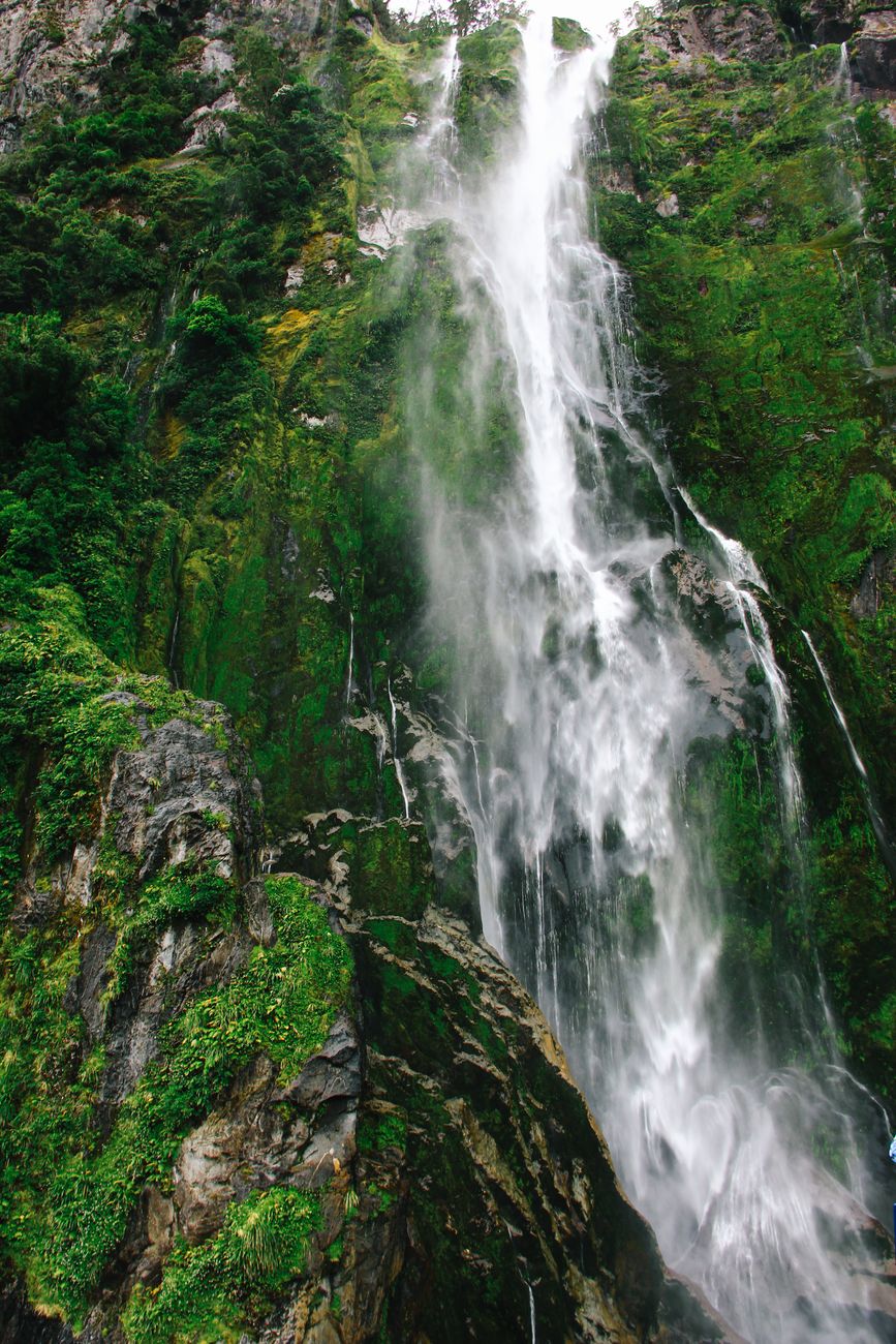 A deep green rainforest waterfall walk in Fiordland, New Zealand